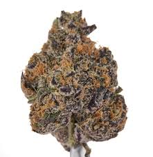 Truffle Runtz Strain